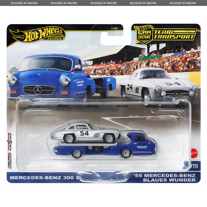 Hot Wheels Team Transport 2024 Mix 3 (C) – Hot Match Collectables